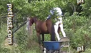 zz777casino - sexo com animais,bestialidade de cavalo