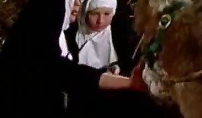 sexo com animais,vídeos pornográficos de animais