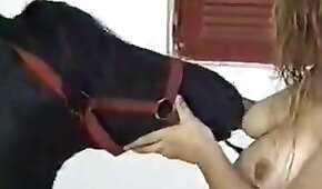 animal fode garota,sexo com animais