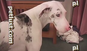 sexo de cachorro,zoológico foda pornô