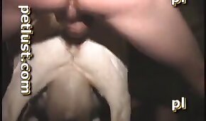 sexo de cachorro,zoológico foda pornô