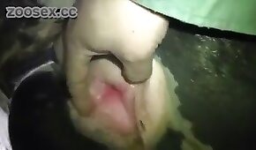 boquiaberto,zoológico foda pornô