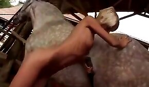 pónei,pornô com animais