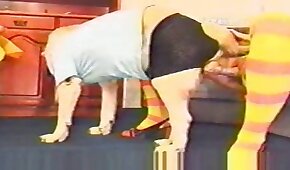 sexo de cachorro,sexo com animais