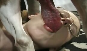 sexo de cachorro,fodendo com animais