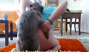 sexo de cachorro,fodendo com animais