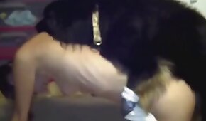 sexo de cachorro,fodendo com animais